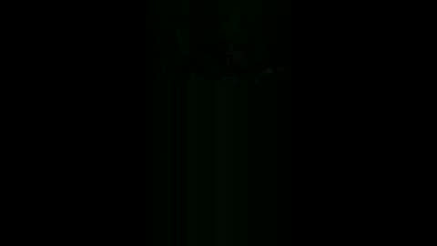 gimedat7412 online show from February 24, 2026, 7:28 am