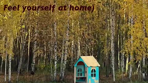 Kristin  online show from February 22, 2026, 5:33 pm