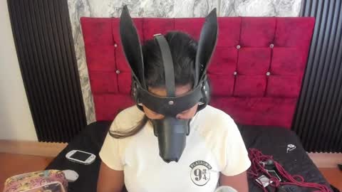 Snapshot of gisellholden_ chatting on May 20, 2026, 1:17 pm gisellholden_ online show from May 20, 2026, 1:17 pm