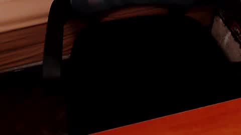 Snapshot of glebryba chatting on February 27, 2025, 4:53 pm glebryba online show from February 27, 2025, 4:53 pm