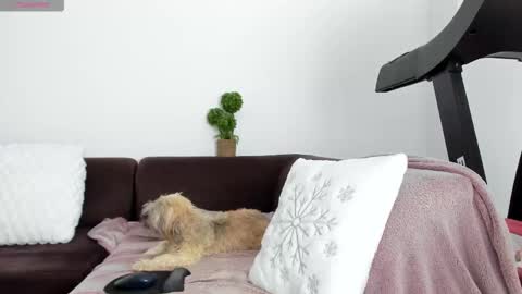 Alice online show from January 13, 2026, 10:26 pm