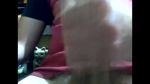 PencilDick online show from January 17, 2025, 8:45 am