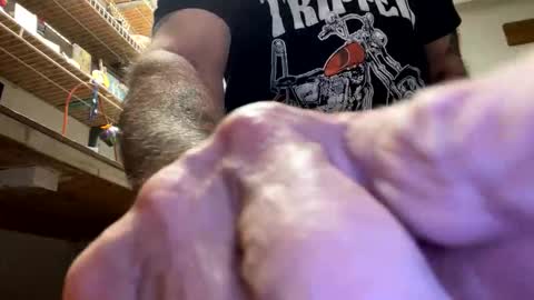 gngnxxx online show from October 23, 2025, 4:45 am