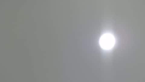 goath_08 online show from February 7, 2025, 10:41 pm