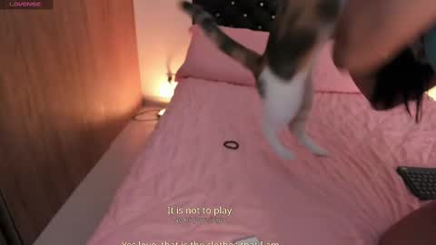 goddess_eli77 online show from October 4, 2025, 2:53 am