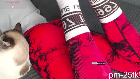 Snapshot of goddessemmmyy chatting on February 3, 2026, 1:49 pm Goddess EmmaBratt princess online show from February 3, 2026, 1:49 pm