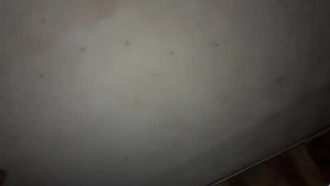 godseekingatheist online show from November 9, 2025, 1:59 am