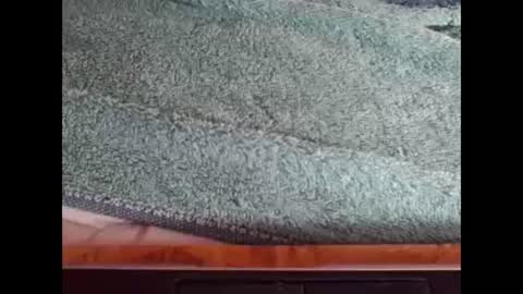 Snapshot of goodboyzon chatting on December 8, 2024, 3:45 pm goodboy online show from December 8, 2024, 3:45 pm