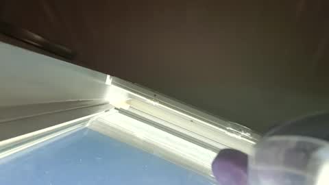 goosetrucker982440 online show from September 30, 2025, 2:00 pm