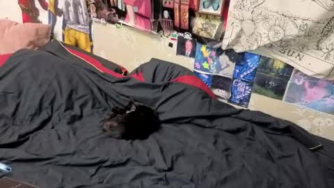 Amy online show from November 7, 2025, 8:42 pm