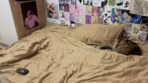 Amy online show from July 10, 2026, 6:32 pm