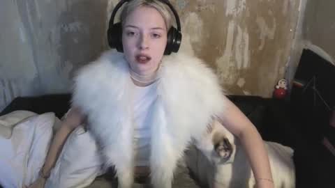 graylovescookies online show from December 19, 2024, 10:45 am