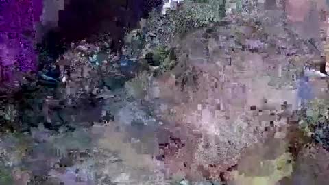 Jack online show from January 16, 2025, 11:48 am