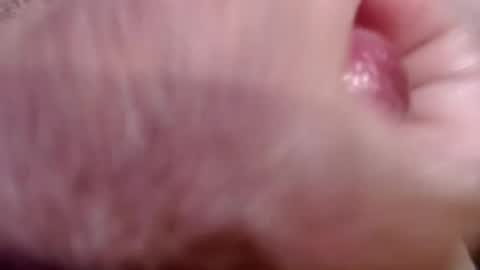 Snapshot of gregburns chatting on July 1, 2026, 10:31 pm Greg online show from July 1, 2026, 10:31 pm