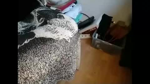 Snapshot of gregorius_1 chatting on January 21, 2025, 9:46 am Greg online show from January 21, 2025, 9:46 am