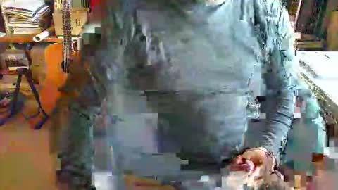 greyhounddog online show from October 15, 2025, 8:47 am