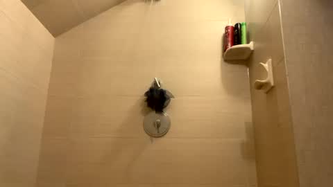 Perfectlyaveragesavage online show from December 31, 2024, 1:30 pm