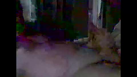 Snapshot of grittslappa chatting on April 28, 2026, 3:00 am grittslappa online show from April 28, 2026, 3:00 am
