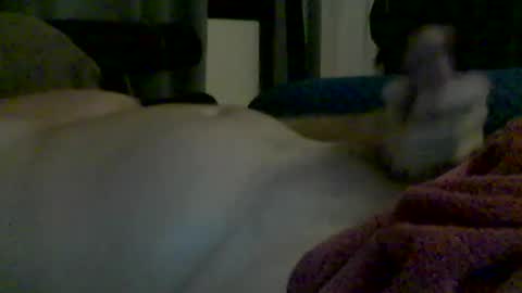 Snapshot of grittslappa chatting on June 13, 2026, 4:49 pm grittslappa online show from June 13, 2026, 4:49 pm