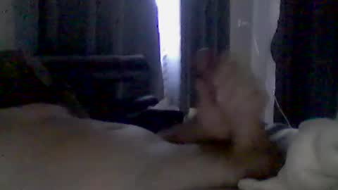Snapshot of grittslappa chatting on June 22, 2026, 2:02 am grittslappa online show from June 22, 2026, 2:02 am