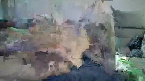 Snapshot of grossmanmeir chatting on October 5, 2025, 7:01 pm grossmanmeir online show from October 5, 2025, 7:01 pm