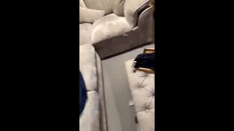 Snapshot of gt79802068 chatting on November 11, 2025, 7:03 pm gt79802068 online show from November 11, 2025, 7:03 pm