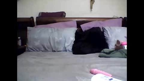 gucci-bx online show from March 8, 2025, 2:23 am