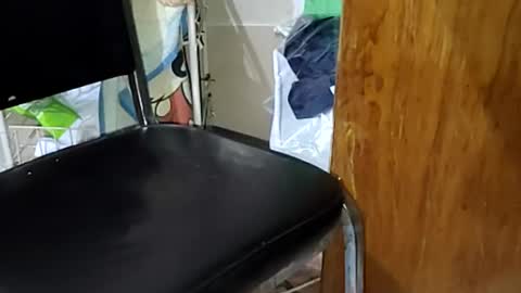 guillermo723 online show from April 9, 2026, 2:33 am