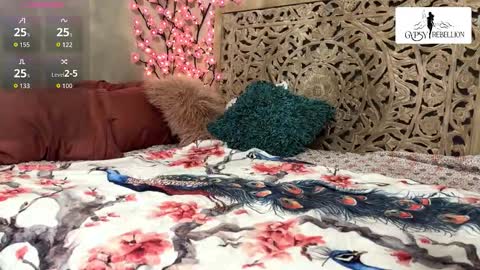 Gypsy online show from November 24, 2025, 12:05 pm