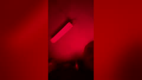 gypsynova777 online show from April 14, 2026, 10:43 am