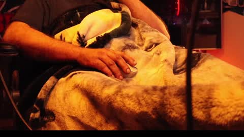 h0tttsteel online show from December 18, 2024, 10:08 am