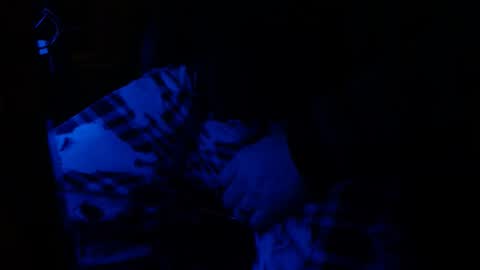 Snapshot of h2omygod chatting on January 25, 2025, 9:26 am H2omygod online show from January 25, 2025, 9:26 am