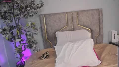 haileystonei online show from December 16, 2025, 11:59 am