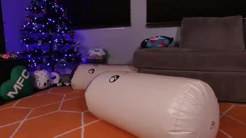 HailWilds online show from December 20, 2024, 10:27 am