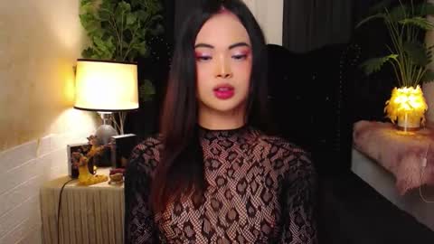 haily online show from November 11, 2025, 2:33 am