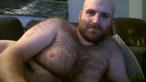 Snapshot of hairiestbear chatting on February 18, 2025, 4:58 am Hairiest Bear online show from February 18, 2025, 4:58 am