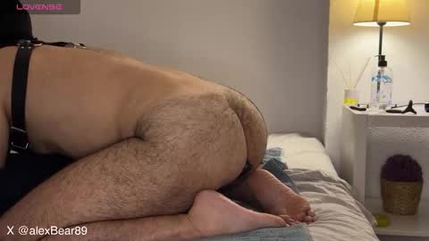 hairyarabbear online show from September 13, 2025, 11:59 pm