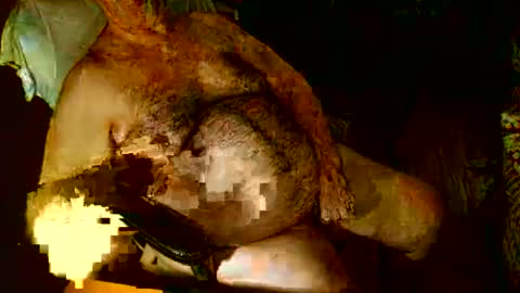 hairybear813 online show from January 3, 2025, 12:11 am