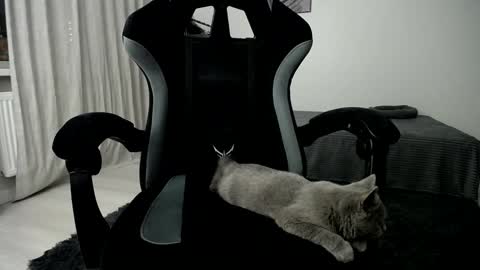 Adam online show from January 10, 2025, 5:05 am