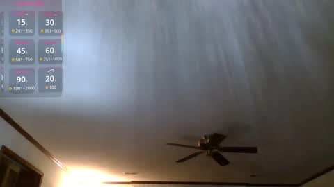 HairyDaddyBear69 online show from November 11, 2025, 12:54 am