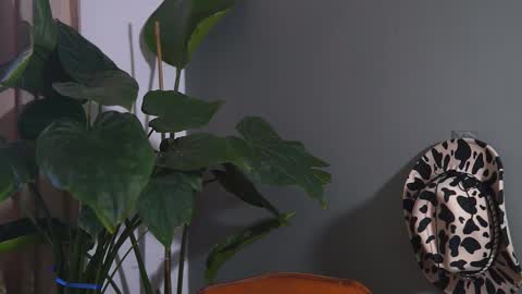 HairyRobXxX online show from September 20, 2025, 10:05 am