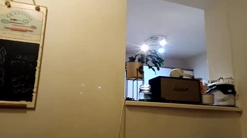 hakfin666 online show from January 31, 2025, 7:07 am