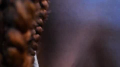 Snapshot of halleylorens chatting on November 6, 2025, 7:15 pm Halley Lorens online show from November 6, 2025, 7:15 pm