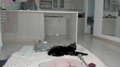 insta Laupalacio777Next stream 01th December online show from December 12, 2024, 10:52 pm