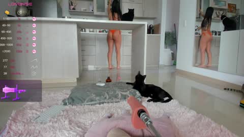 insta Laupalacio777Next stream 01th December online show from December 14, 2024, 12:44 pm