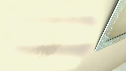 Hallie Stone online show from December 19, 2025, 12:01 pm