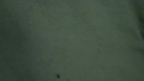 Snapshot of hamhead71 chatting on June 20, 2026, 7:16 pm hamhead71 online show from June 20, 2026, 7:16 pm