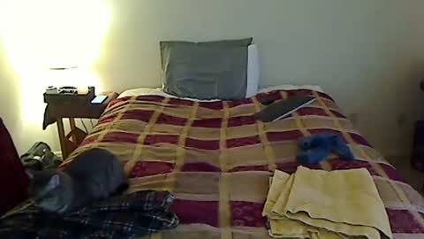 Snapshot of hammerthatthang73 chatting on March 24, 2026, 11:10 pm hammerthatthang73 online show from March 24, 2026, 11:10 pm