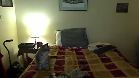 Snapshot of hammerthatthang73 chatting on March 30, 2026, 9:43 am hammerthatthang73 online show from March 30, 2026, 9:43 am