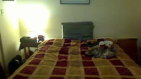 Snapshot of hammerthatthang73 chatting on April 4, 2026, 5:06 am hammerthatthang73 online show from April 4, 2026, 5:06 am